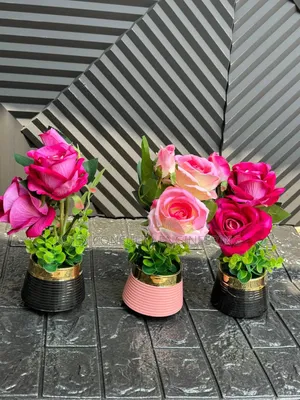 Rose Flower