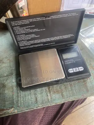 Electronic Pocket Scale