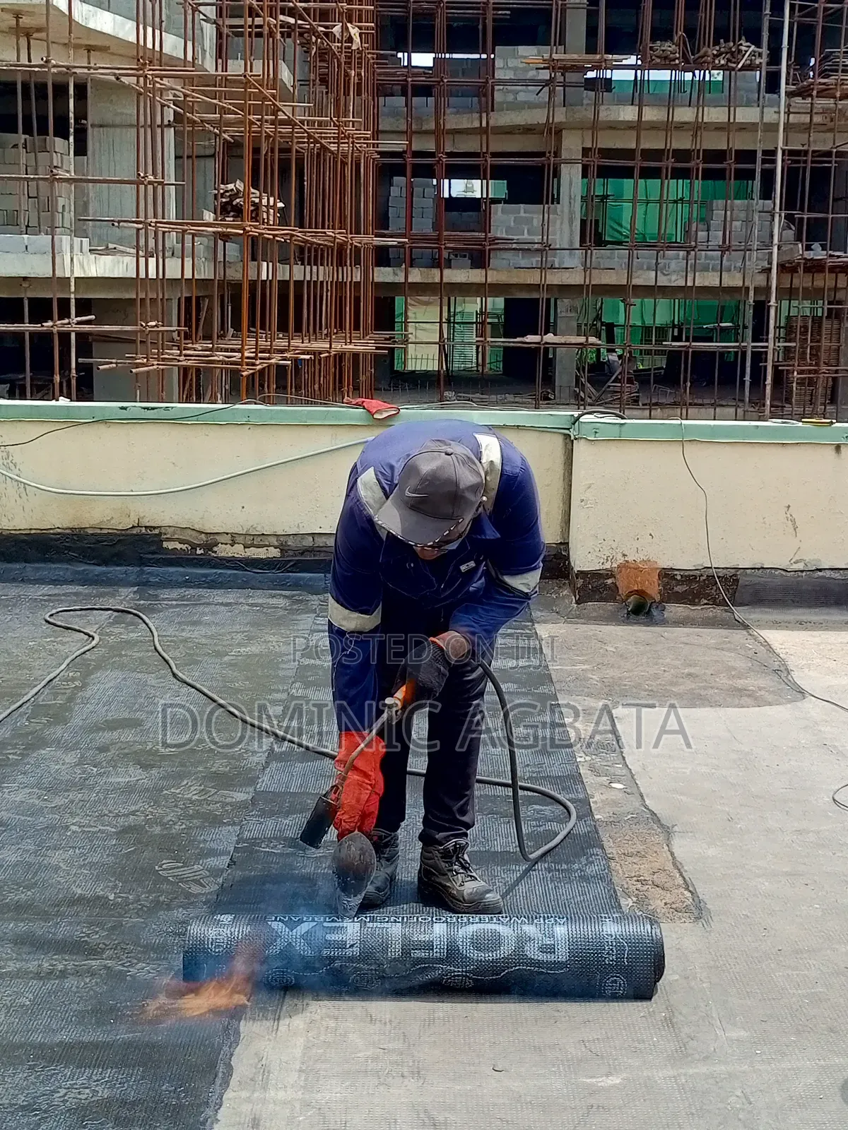 Fetching Waterproofing Expert