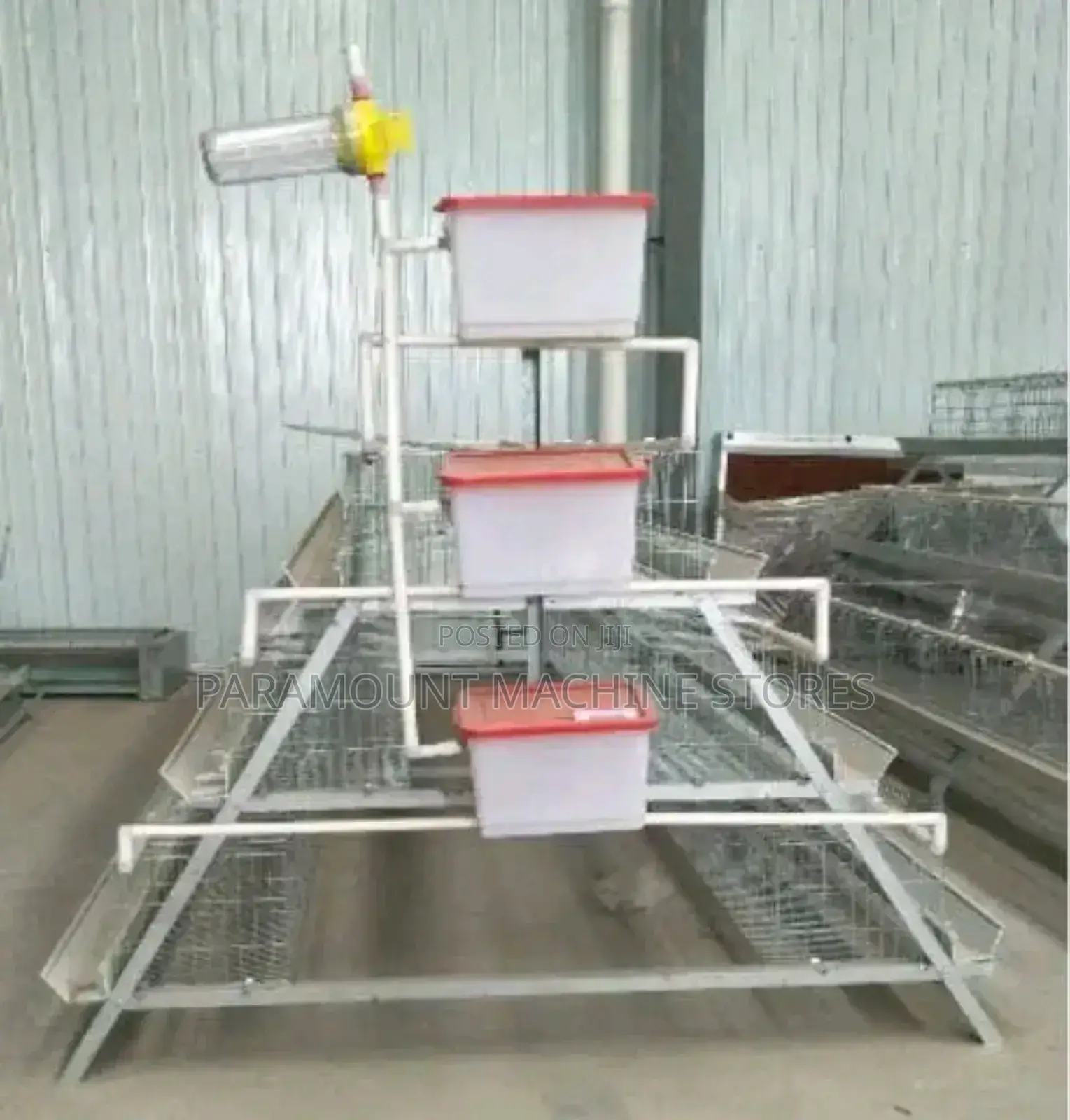 Broilers Cage