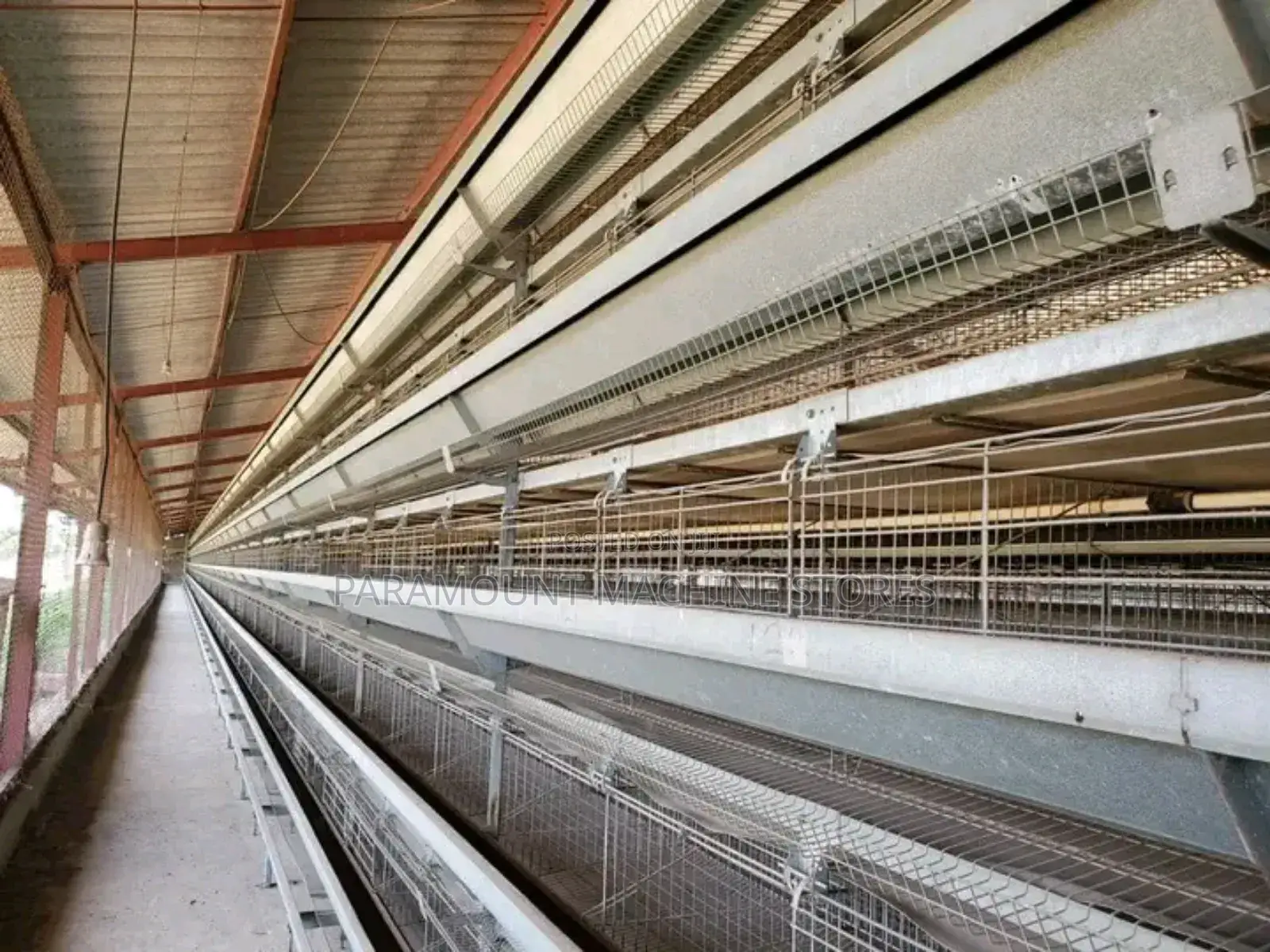 Broilers Cage