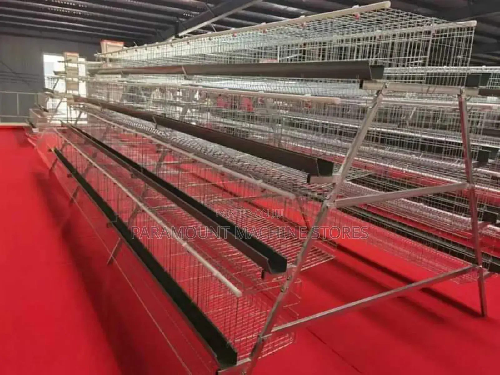 Broilers Cage