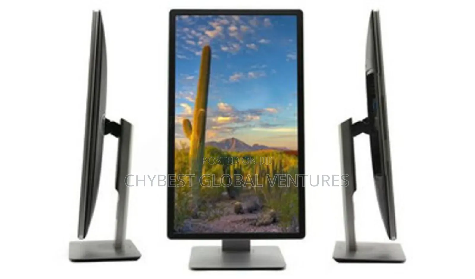 23 Inches Dell Ips
