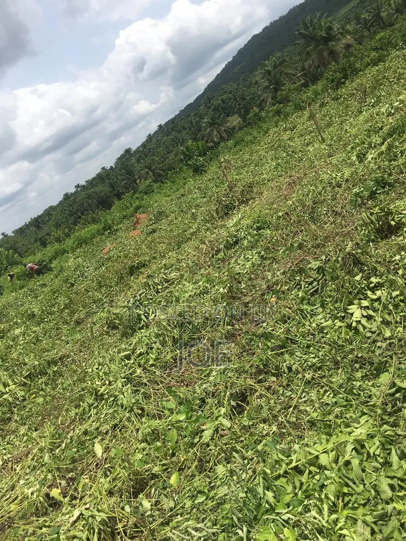 Farm Labourer Wanted!