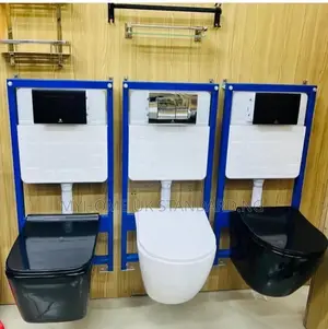 Concealed Toilet Seat Set