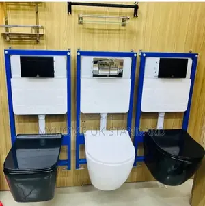 Concealed Toilet Seat Set