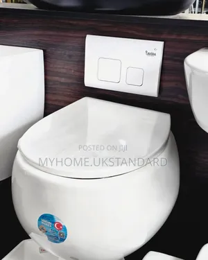 Luxury Concealed Toilet Seat