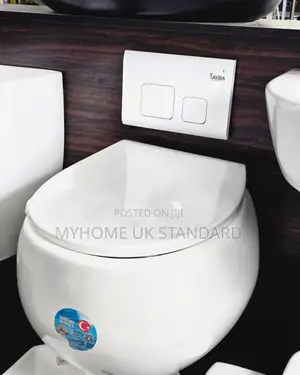 Luxury Concealed Toilet Seat