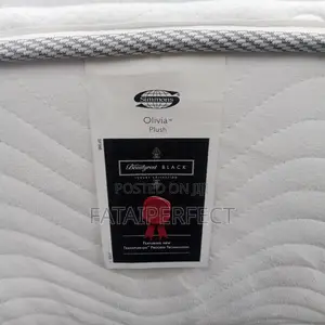 6/6 Canadian Orthorpedic Spring Mattress for Back Pain