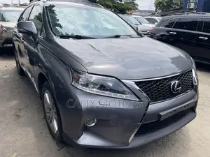 Lexus RX 2014 Gray