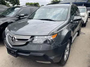 Acura MDX 2008 Gray