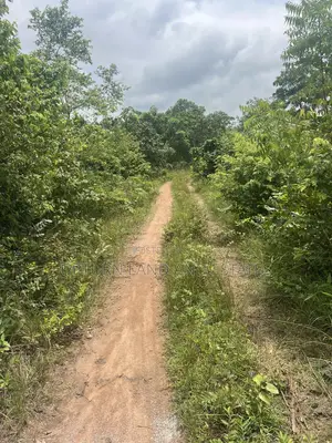 500 Acres Of Land For Sale In Ibadan At Cheaper Rate