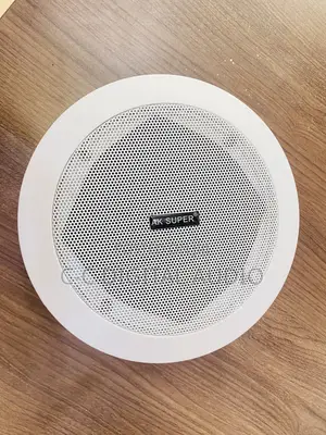 Ceiling Speakers