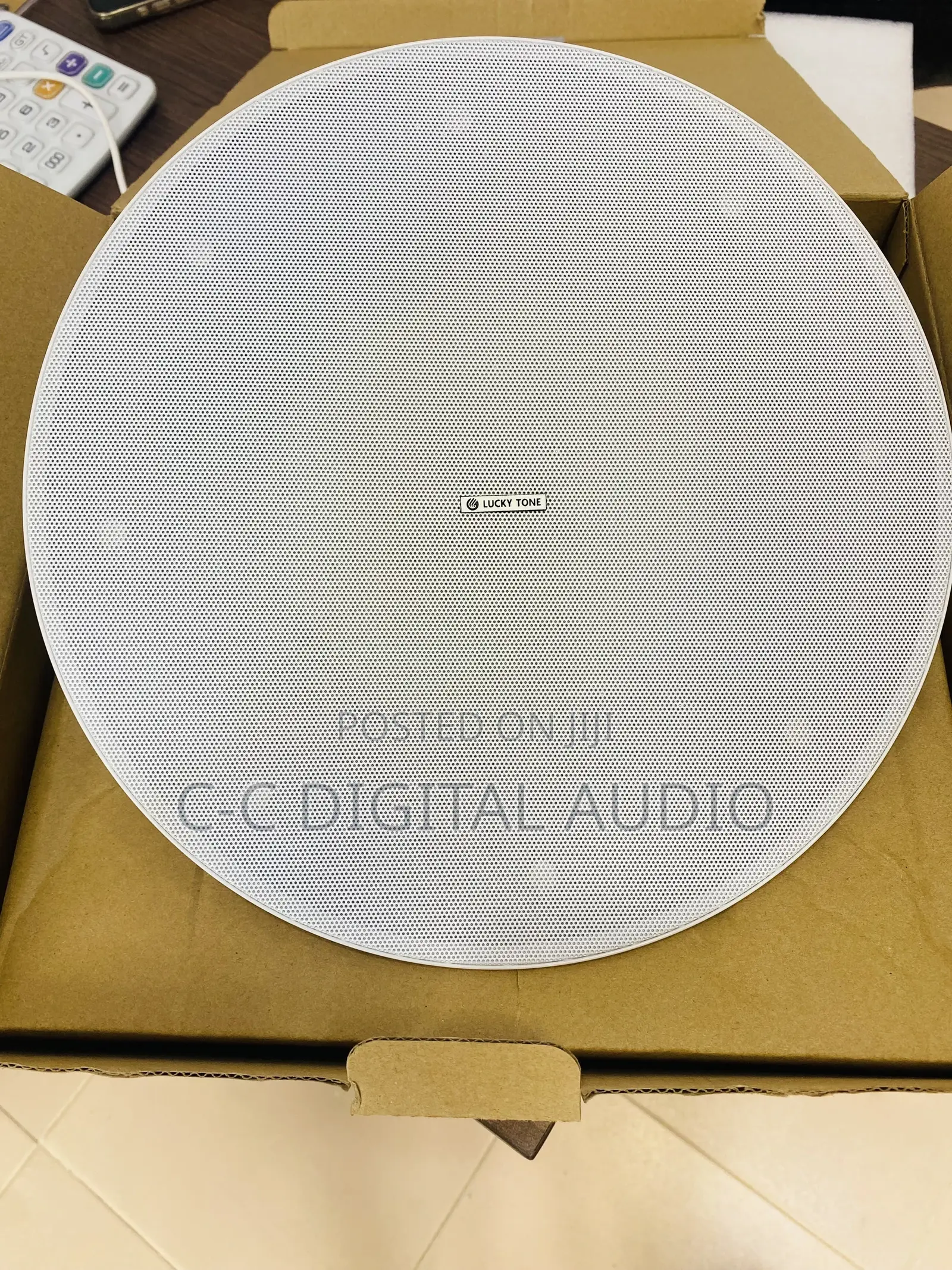 Lucky Tone Ceiling Speaker 