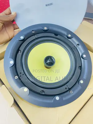 Lucky Tone Ceiling Speaker