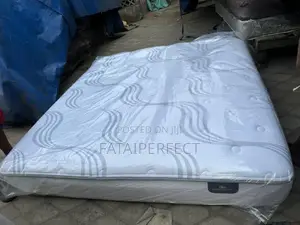 6/6 Canadian Orthorpedic Spring Mattress for Back Rest