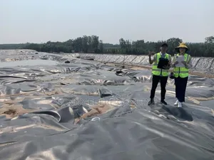 Geomembrane Geo Membrane Per SQM