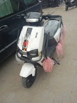 Electric Scooter/ E-Bike