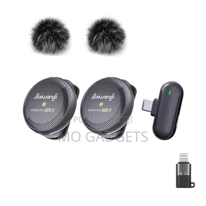 Baiwangli Sx19 Magnetic Wireless Mic