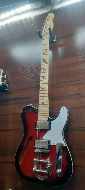 Martin Professional Guitar