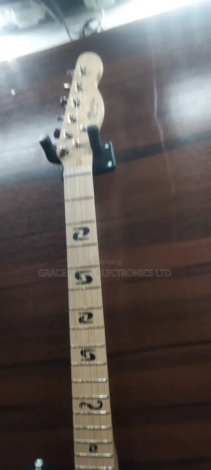 Martin Professional Guitar