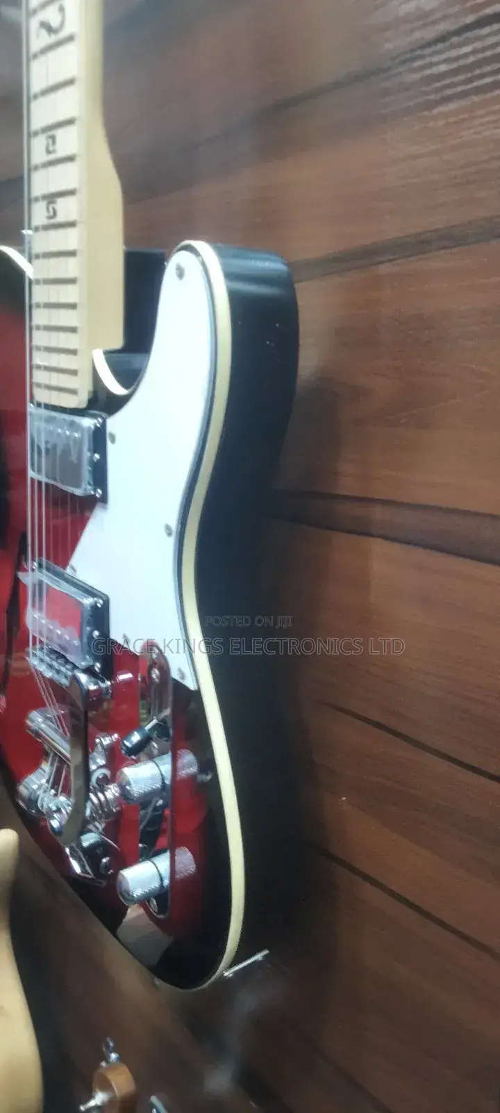 Martin Professional Guitar