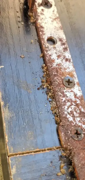 Professional Bedbug Fumigation in Lagos