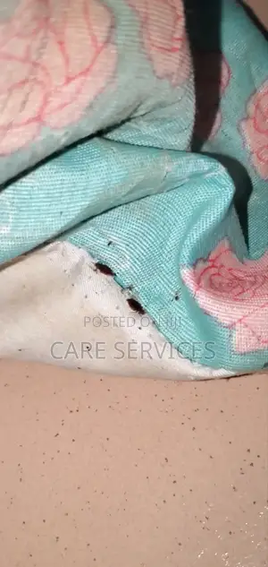 Professional Bedbug Fumigation in Lagos