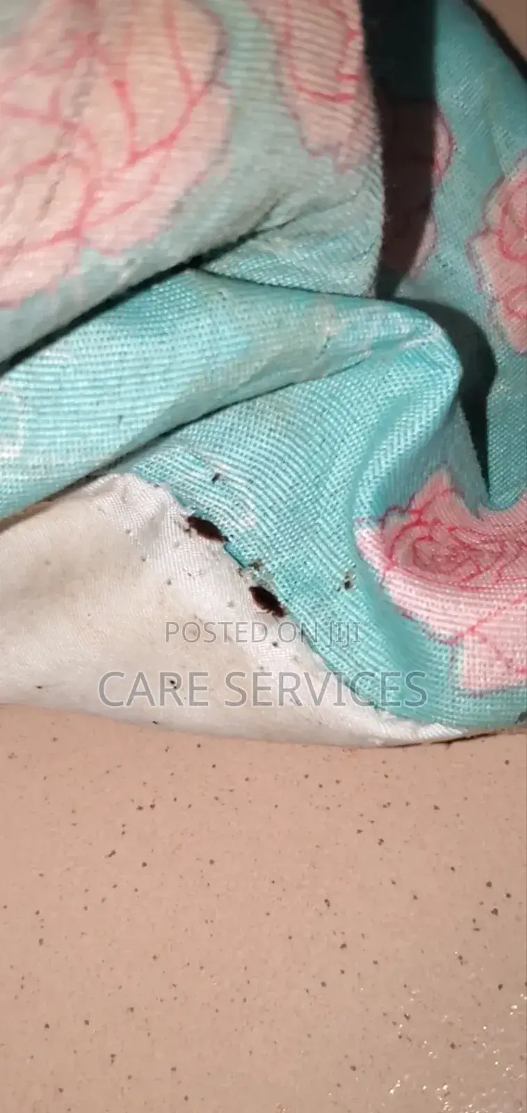 Professional Bedbug Fumigation in Lagos