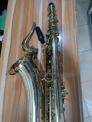 Daniel's Professional Tenor Saxophone