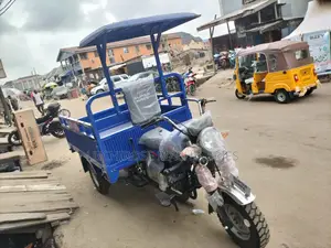 New Tricycle 2025