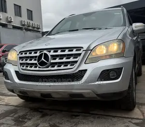 Mercedes-Benz M Class ML350 AWD 4MATIC 2009 Silver