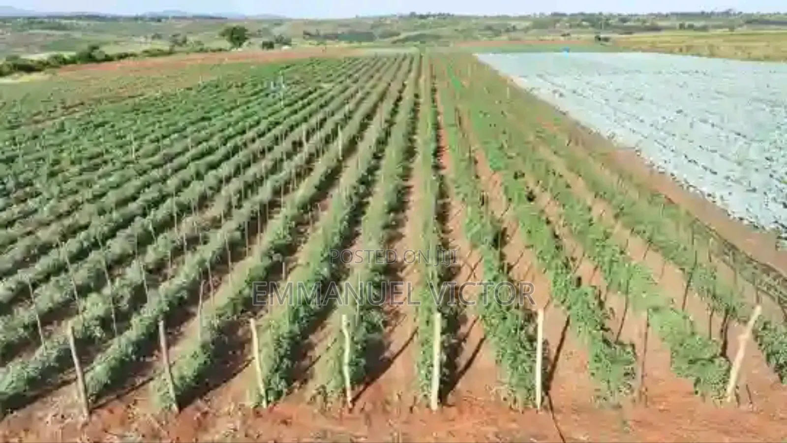 Agricultural Practices