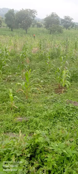1 Hectare Farm Land For Sale In Kuje