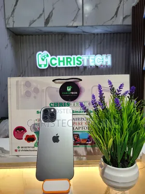 Apple iPhone 12 Pro Max 256 GB Gray