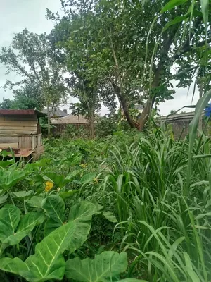 Half Plot of Land for Sale