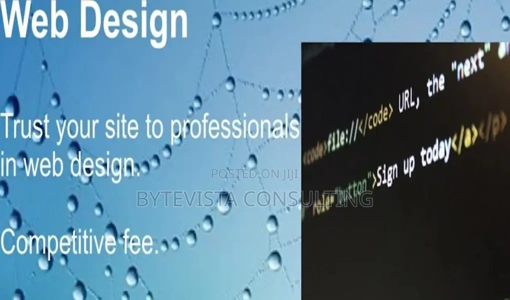 Abuja Website Design And Development