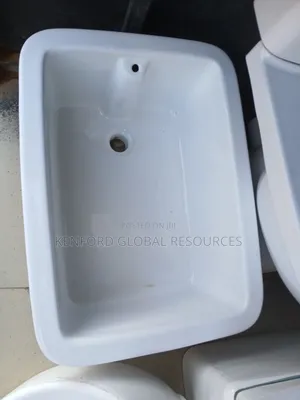 Laboratory Sinks
