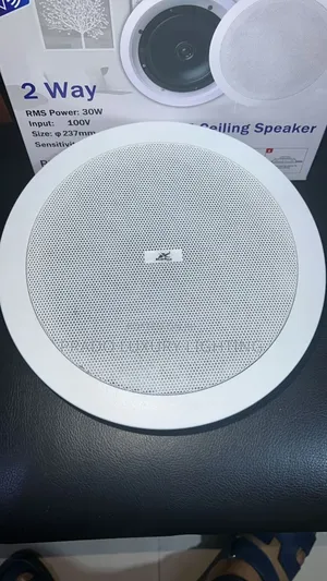 30w Kelma Speaking