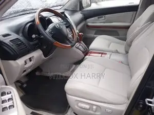 Lexus RX 330 2004 Gray