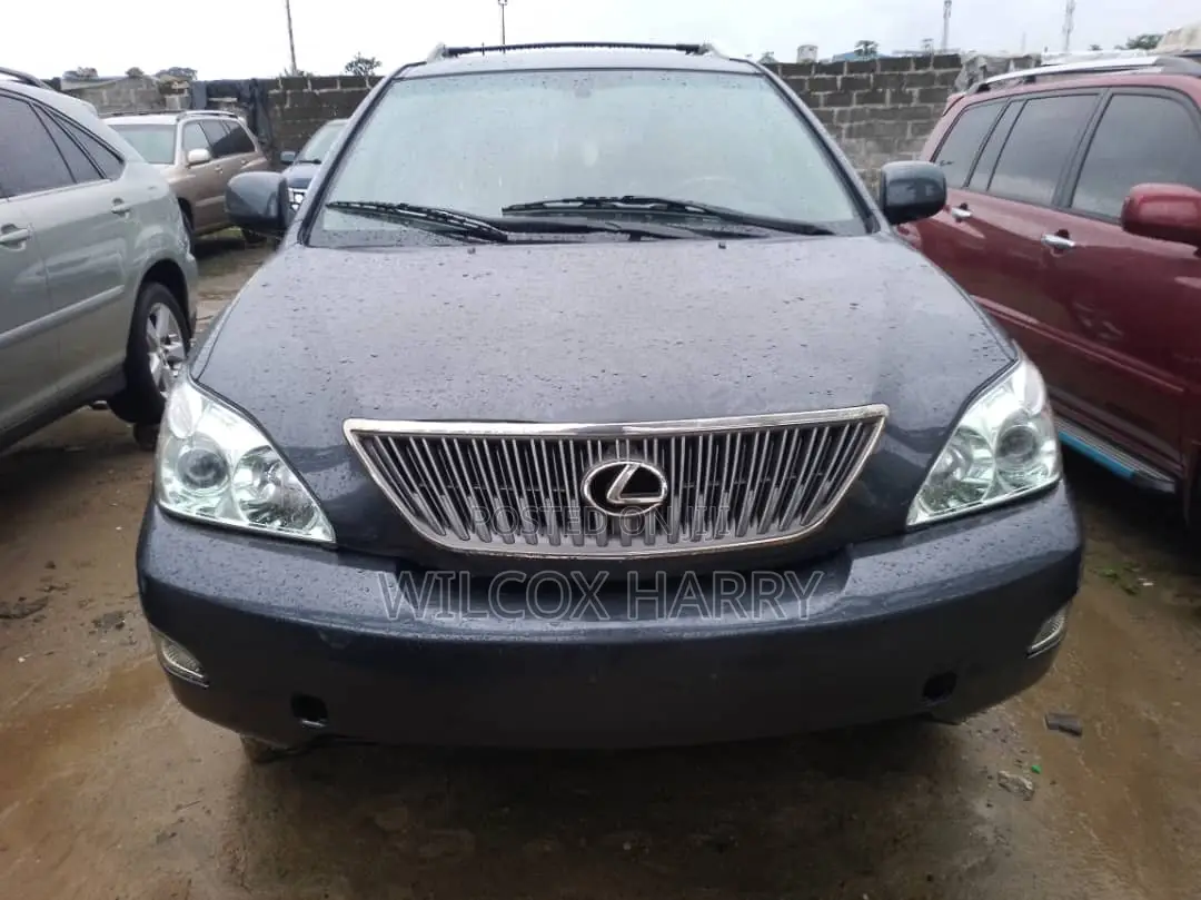 Lexus RX 330 2004 Gray