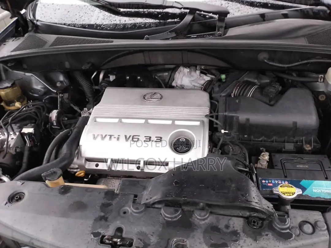 Lexus RX 330 2004 Gray