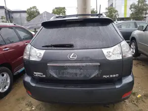 Lexus RX 330 2004 Gray