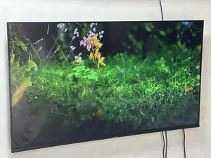 55-inch Samsung Smart Tv