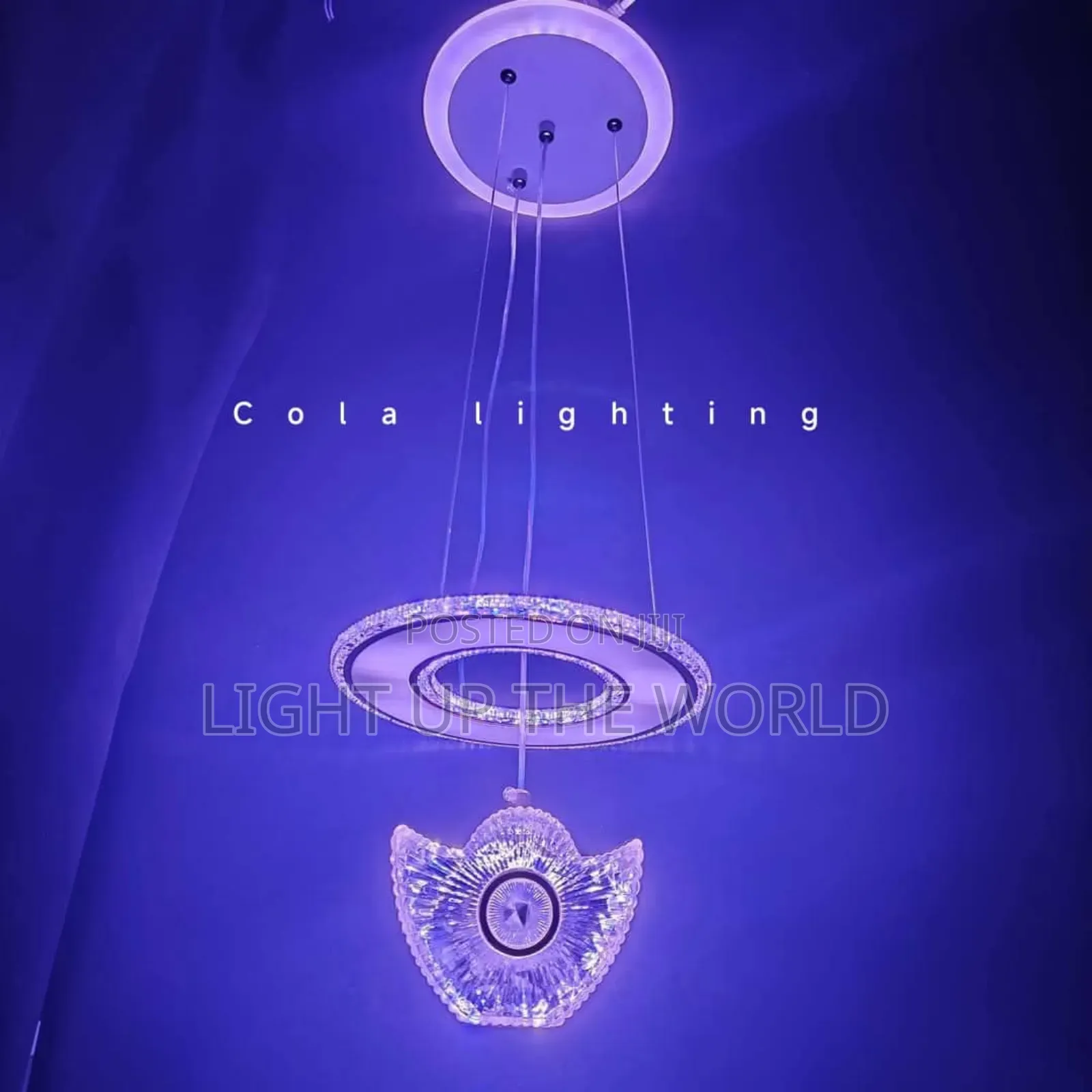 Round Circular Drop Light