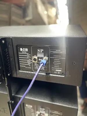 Sound Prince M-10 2x10 Line Array System Passive Speaker