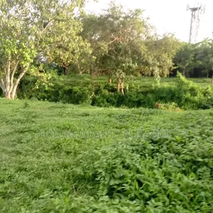 Parcel Of Land For Sale At Abeokuta