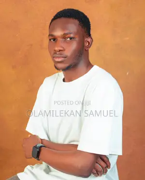 I’M a Web Developer, Graphic Designer Also Manage Website