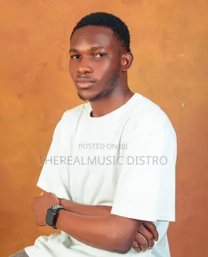 I’M a Web Developer, Graphic Designer Also Manage Website