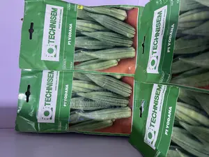 Hybrid Okra Yodanna